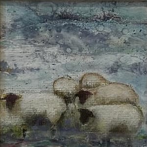 A Huddle of Sheep