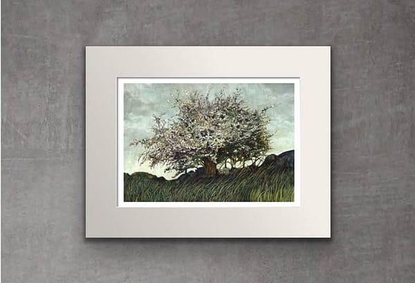 Whitethorn Tree - Image 2