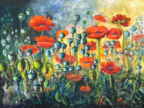 Poppies at Dawn