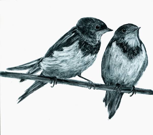 Two Swallows III