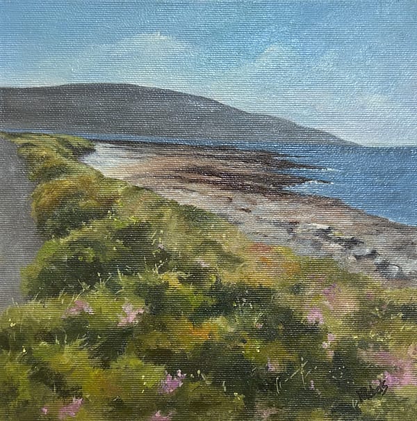 A Bright Day on the Flaggy Shore