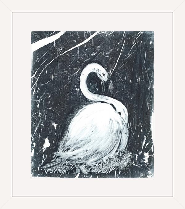 Nesting in a Fragmenting World - Image 2