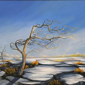 Winter Morning, Burren