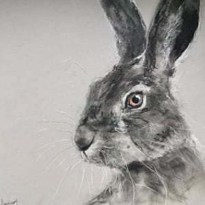 Grey Hare Day